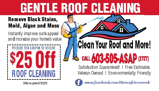 CLEAN YOUR ROOF AND MORE Ad