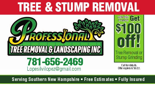 PROFESSIONAL TREE REMOVAL & LANDSCAPING, INC Ad