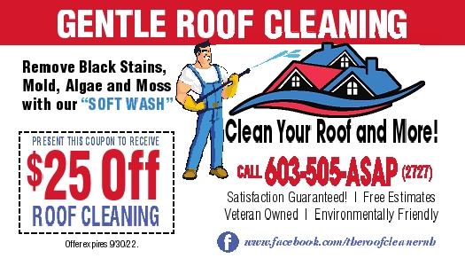 CLEAN YOUR ROOF AND MORE Ad