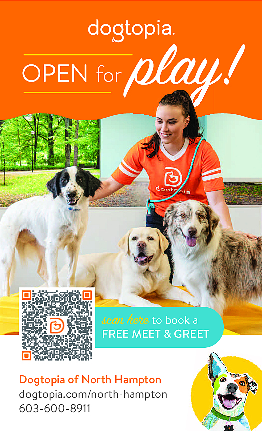 DOGTOPIA OF NORTH HAMPTON Ad